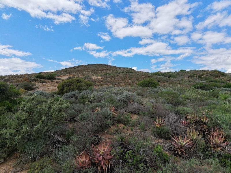 0 Bedroom Property for Sale in Robertson Rural Western Cape